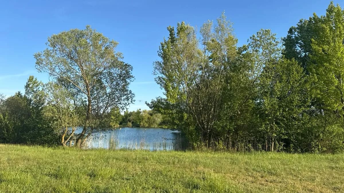 Grundstück kaufen in Österreich – 668 m², € 195.000 – Bild 5 von 9