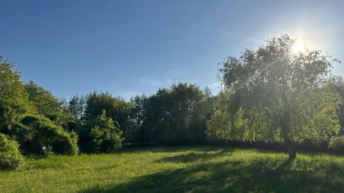 Grundstück kaufen in Österreich – 668 m², € 195.000 – Bild 7 von 9