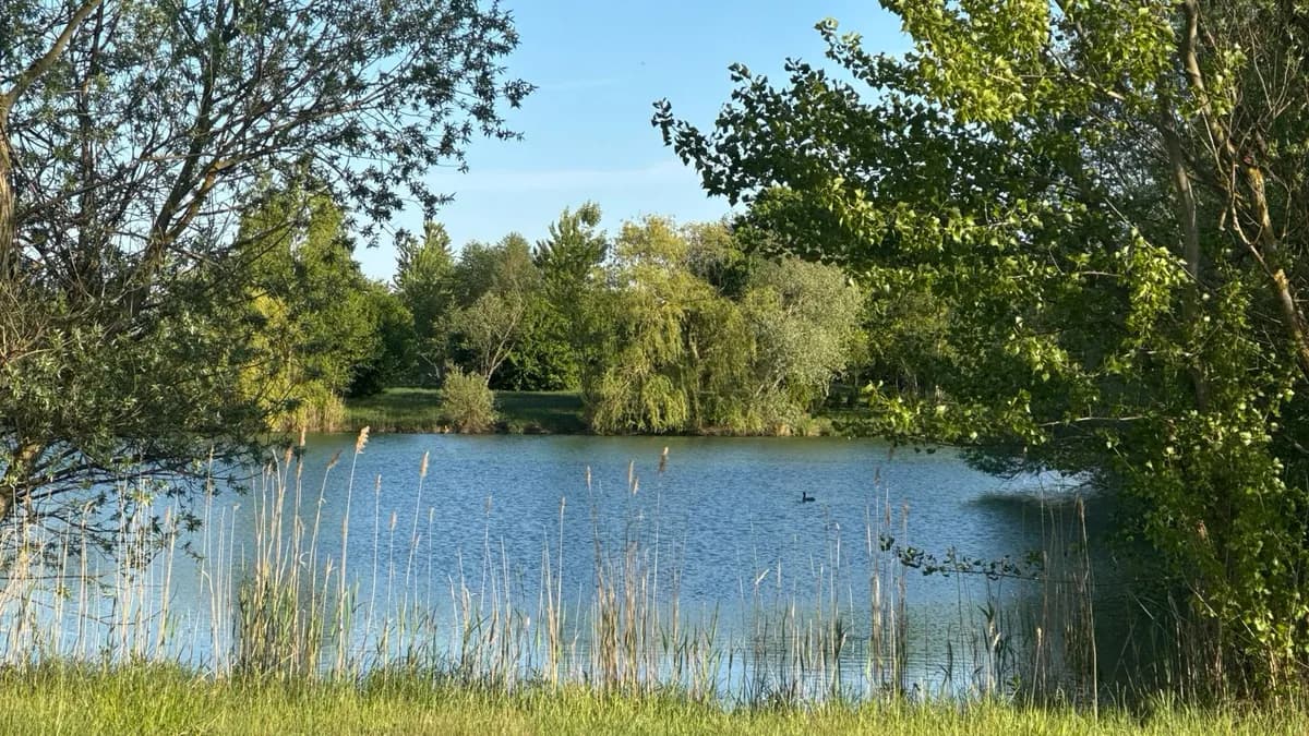 Grundstück kaufen in Österreich – 668 m², € 195.000 – Bild 9 von 9