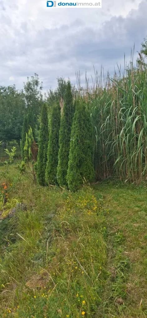 5-Zimmer-Haus kaufen in Jennersdorf – 131 m², € 175.000 – Bild 51 von 62