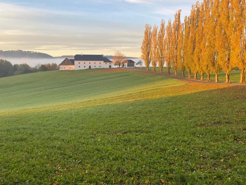 Haus mieten in Freistadt – 72 m², € 1.400 – Bild 17 von 17