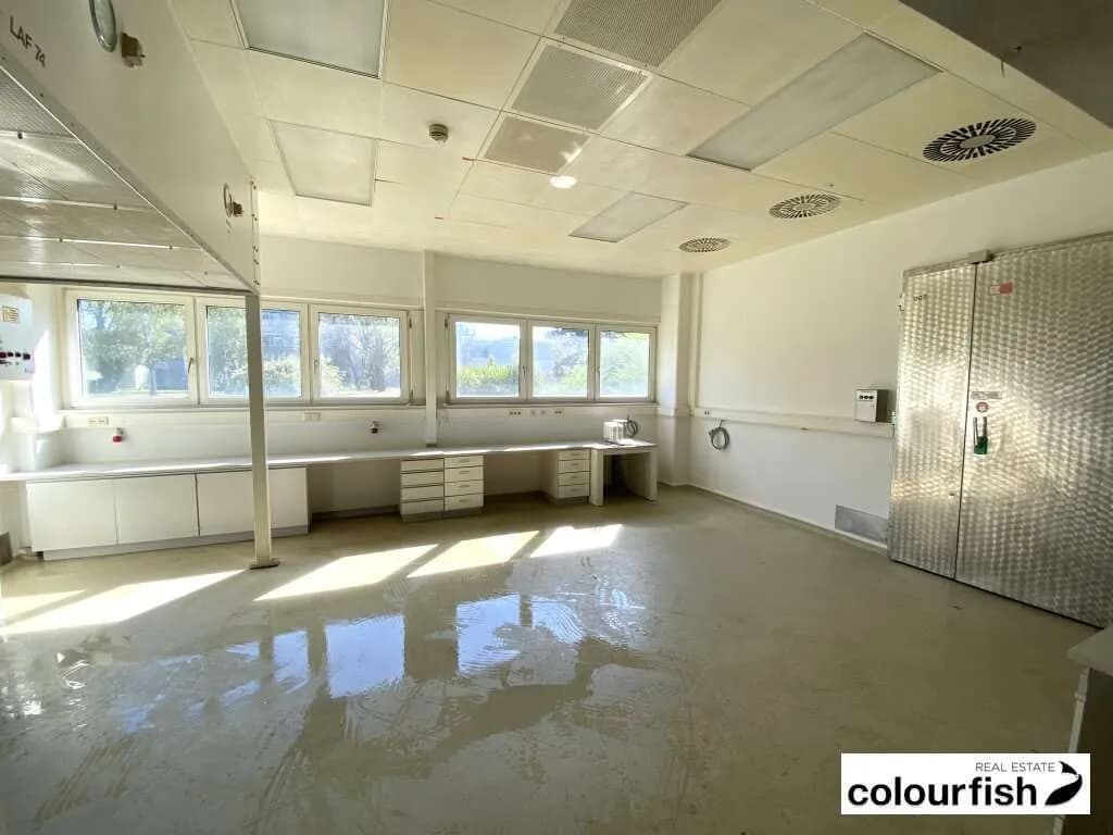 Gewerbeimmobilie mieten in Wien – 134 m², € 2.081