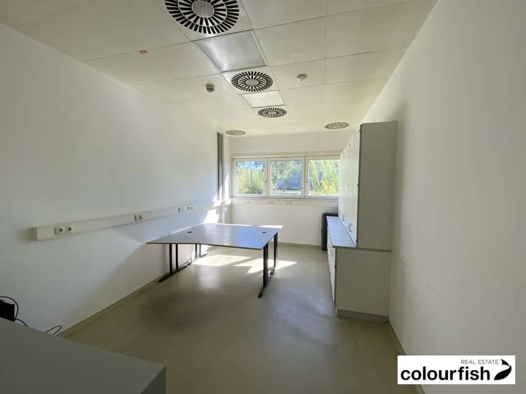 Gewerbeimmobilie mieten in Wien – 134 m², € 2.081 – Bild 2 von 6