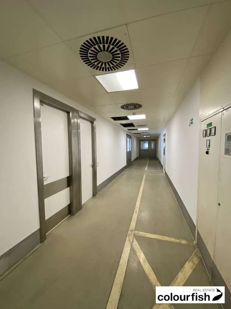 Gewerbeimmobilie mieten in Wien – 134 m², € 2.081 – Bild 3 von 6
