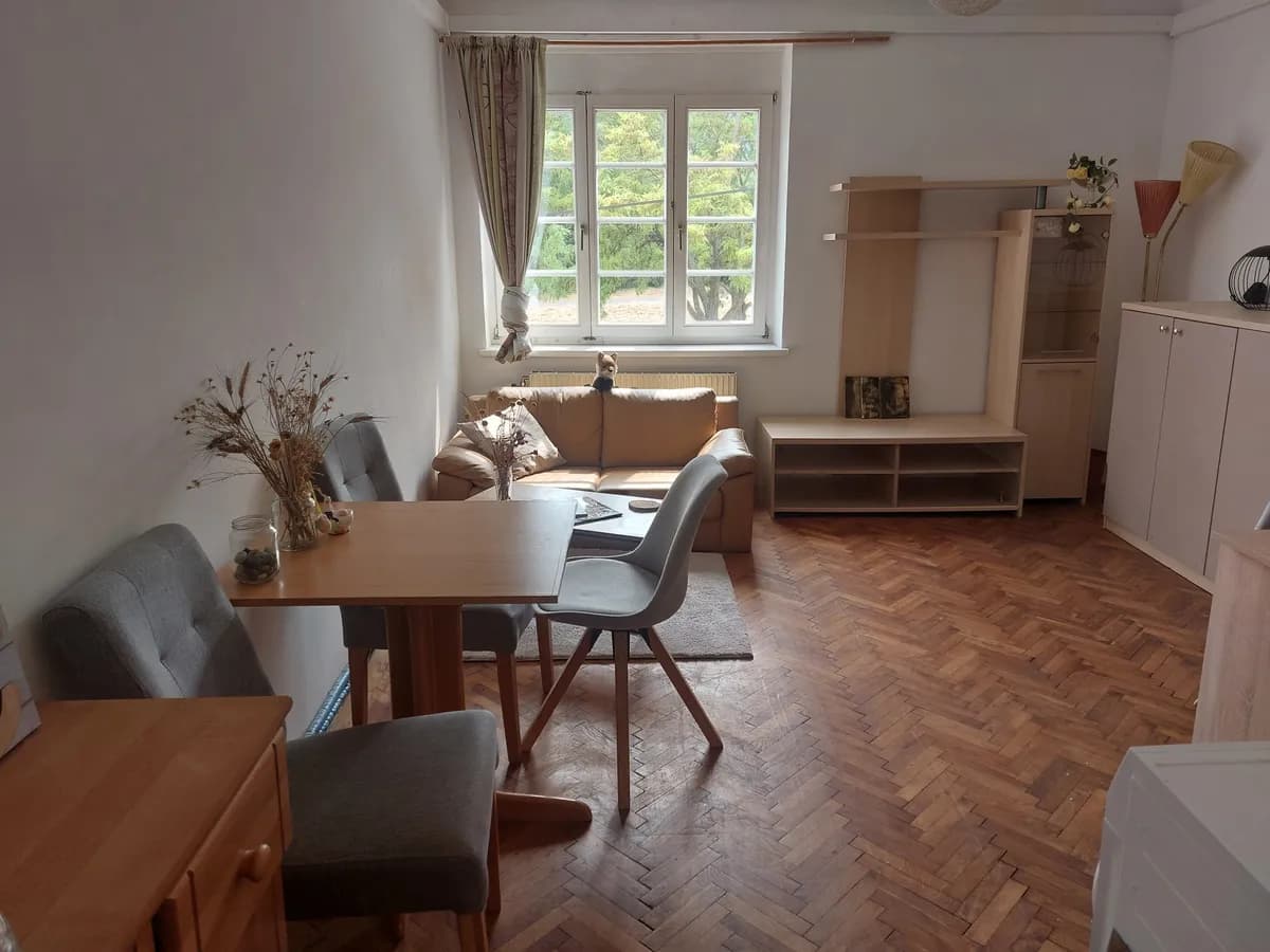 1-Zimmer-Wohnung mieten in Wien – 34 m², € 411 – Bild 17 von 17