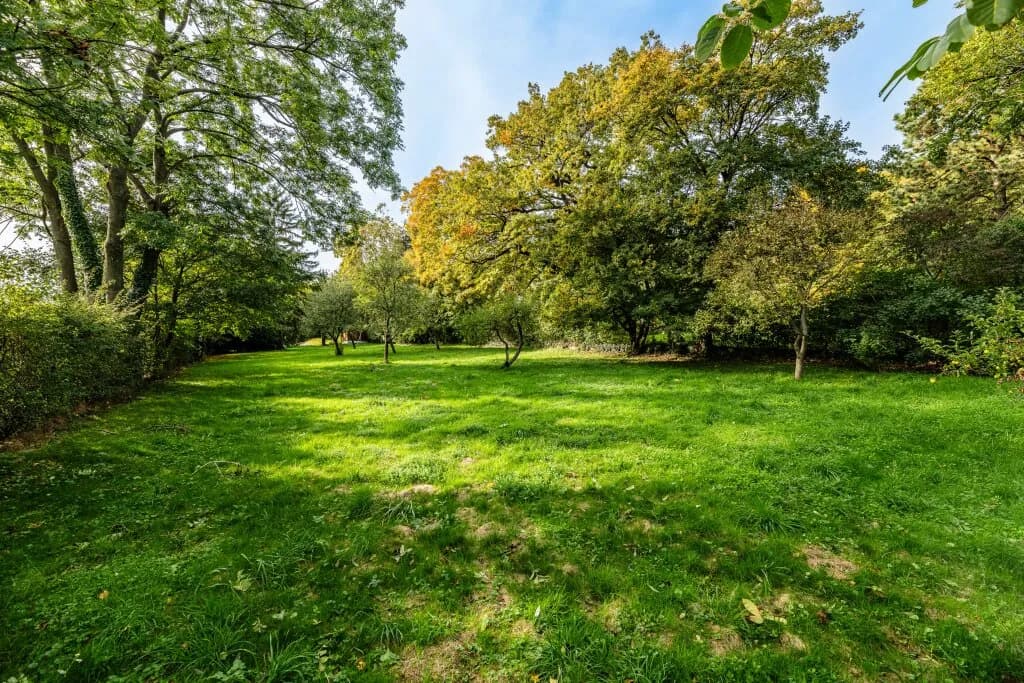5-Zimmer-Immobilie kaufen in Wien – 163 m²