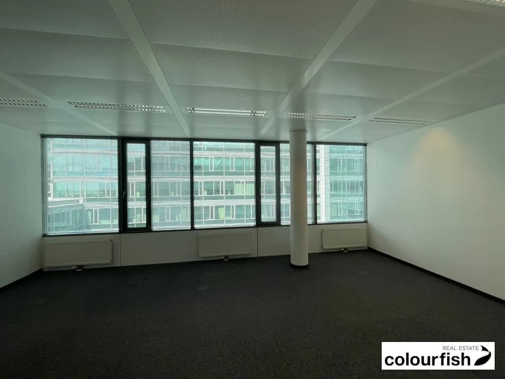 Gewerbeimmobilie mieten in Wien – 706 m², € 11.437 – Bild 4 von 5