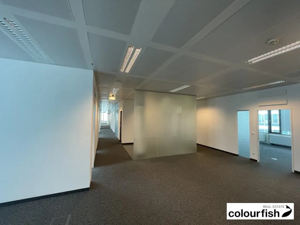 Gewerbeimmobilie mieten in Wien – 527 m², € 8.537 – Bild 3 von 11