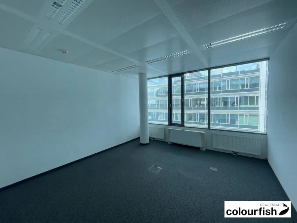 Gewerbeimmobilie mieten in Wien – 527 m², € 8.537 – Bild 4 von 11