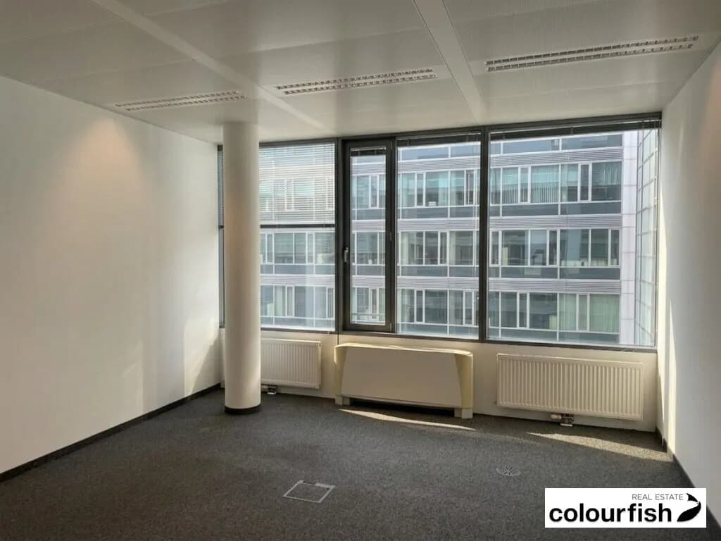 Gewerbeimmobilie mieten in Wien – 527 m², € 8.537 – Bild 5 von 11