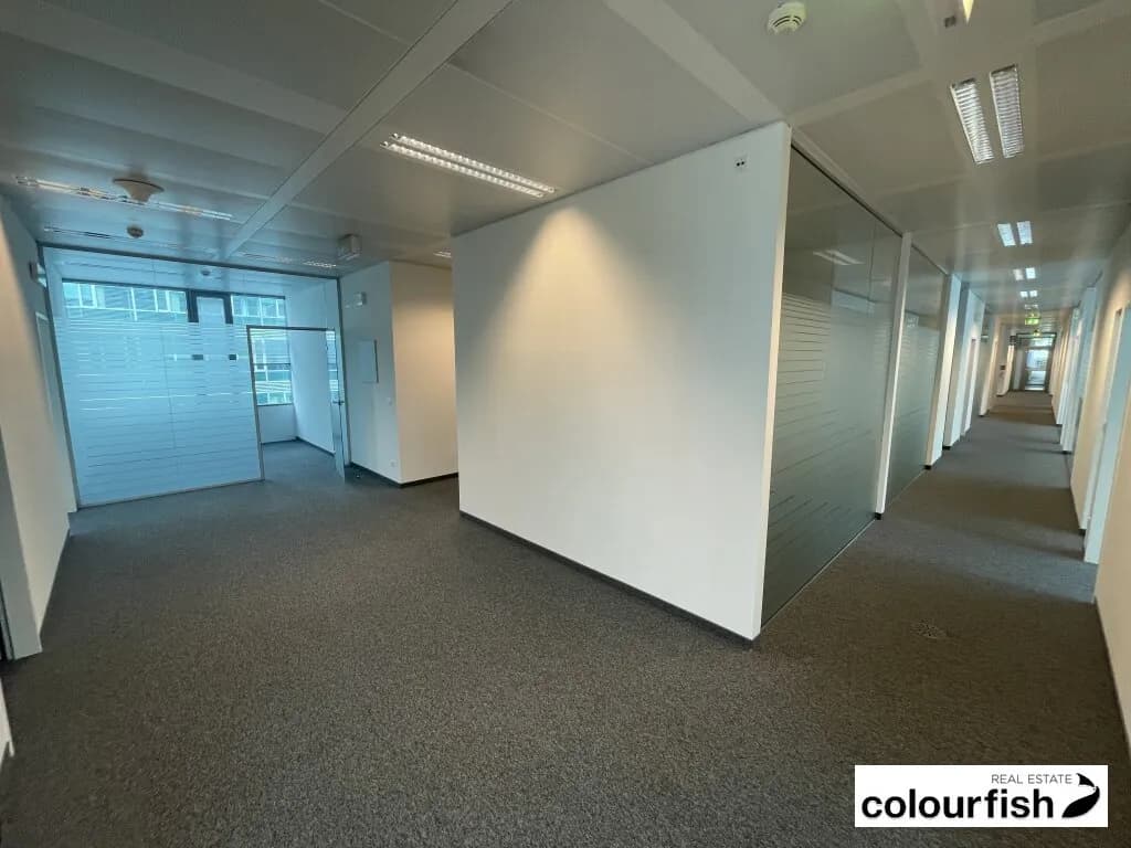Gewerbeimmobilie mieten in Wien – 527 m², € 8.537 – Bild 9 von 11