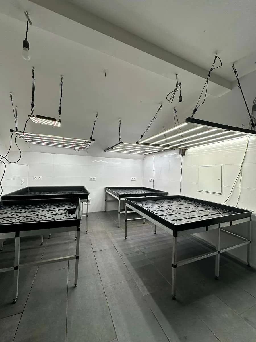 Gewerbeimmobilie kaufen in Wien – 90 m², € 49.000 – Bild 3 von 5