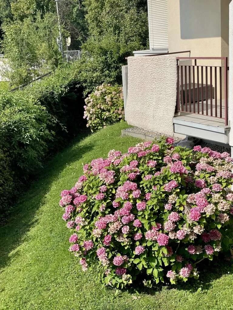 3-Zimmer-Wohnung kaufen in Graz – 69 m², € 349.000 – Bild 27 von 34
