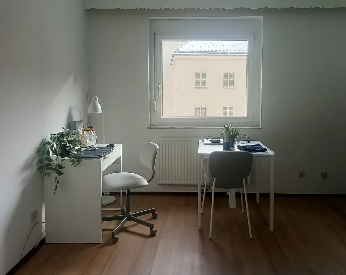 Wohnung mieten in Wien – 50 m², € 624 – Bild 3 von 11