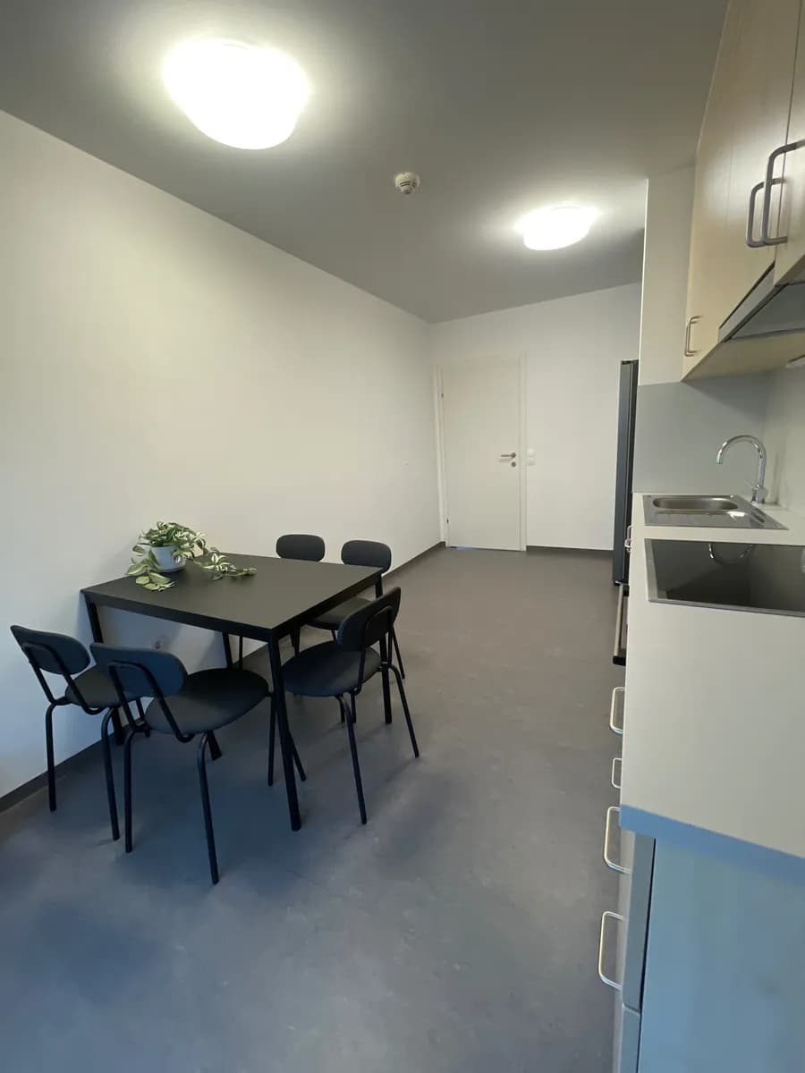 Wohnung mieten in Wien – 150,99 m², € 692 – Bild 6 von 17