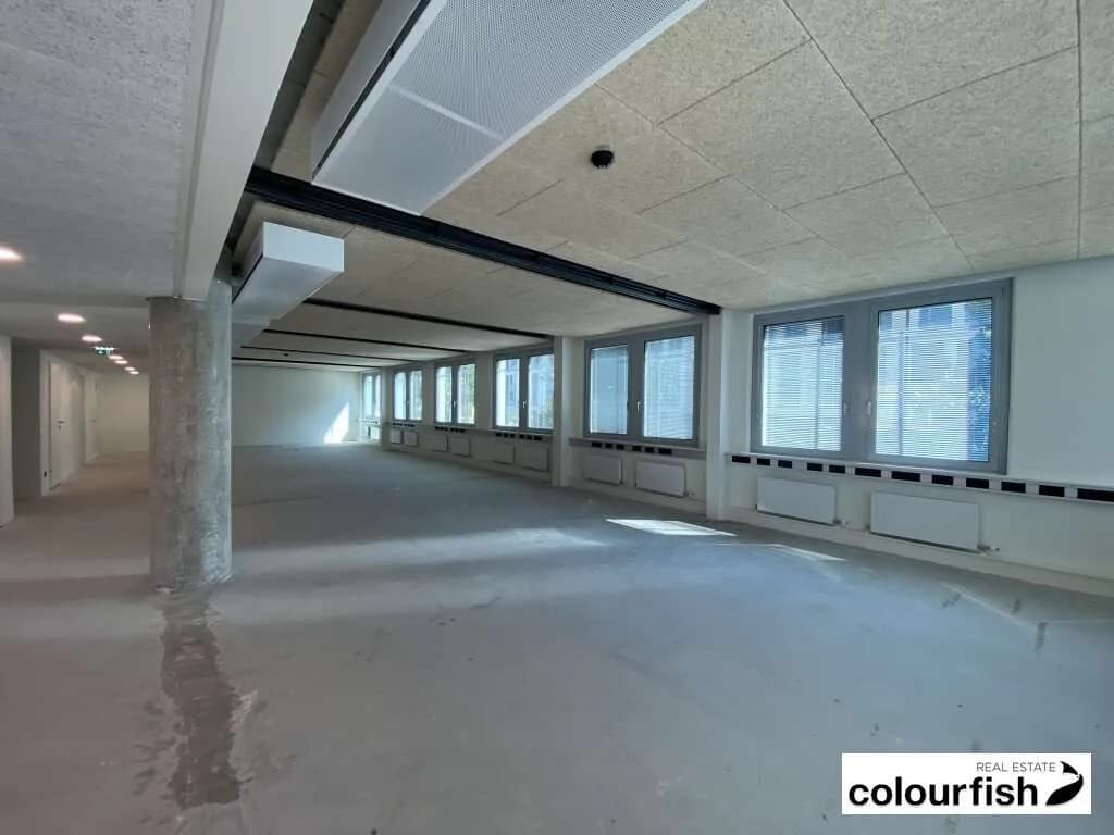 Gewerbeimmobilie mieten in Wien – 265 m², € 4.299 – Bild 5 von 8