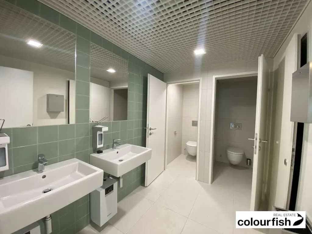 Gewerbeimmobilie mieten in Wien – 265 m², € 4.299 – Bild 7 von 8