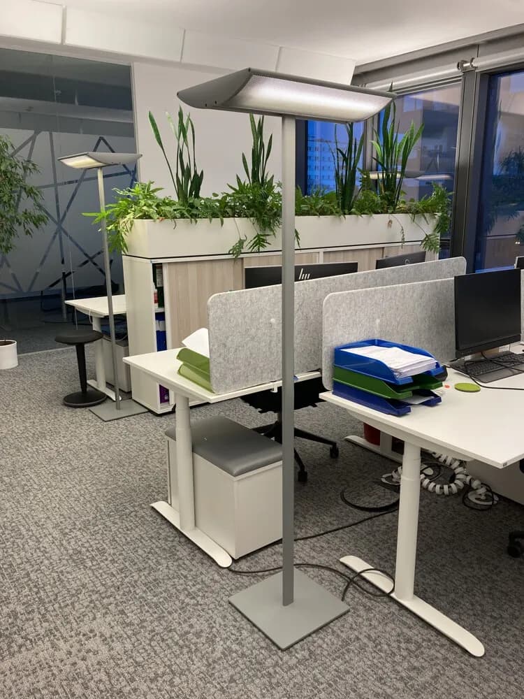 Gewerbeimmobilie mieten in Wien – 1 016 m², € 20 – Bild 4 von 16