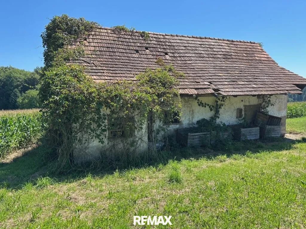 Grundstück kaufen in Südoststeiermark – 72 457 m², € 450.000 – Bild 3 von 9