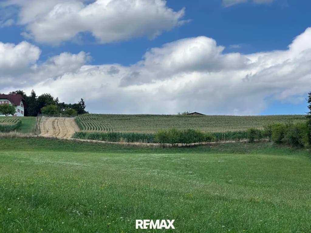 Grundstück kaufen in Südoststeiermark – 72 457 m², € 450.000 – Bild 6 von 9