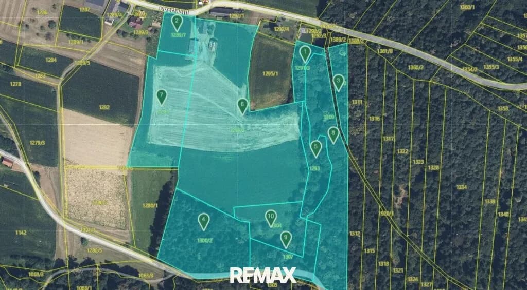 Grundstück kaufen in Südoststeiermark – 72 457 m², € 450.000 – Bild 8 von 9