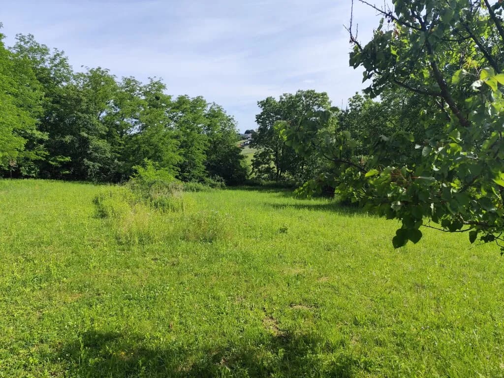 4-Zimmer-Haus kaufen in Oberwart – 179 m², € 460.000 – Bild 29 von 35
