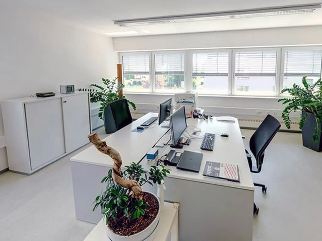 1-Zimmer-Gewerbeimmobilie mieten in Weiz – 54 m², € 873 – Bild 3 von 9