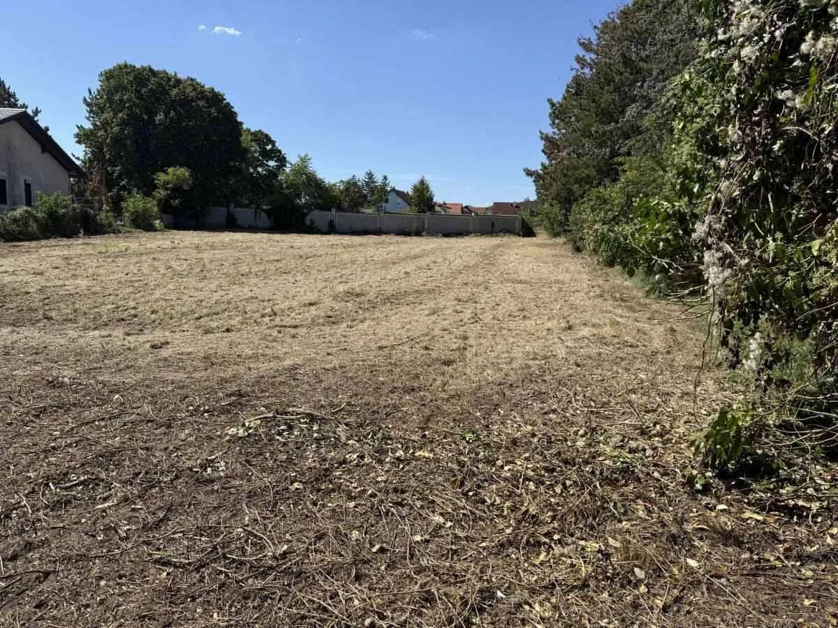 Grundstück kaufen in Wiener Neustadt Land – 1 730 m², € 439.000 – Bild 6 von 7