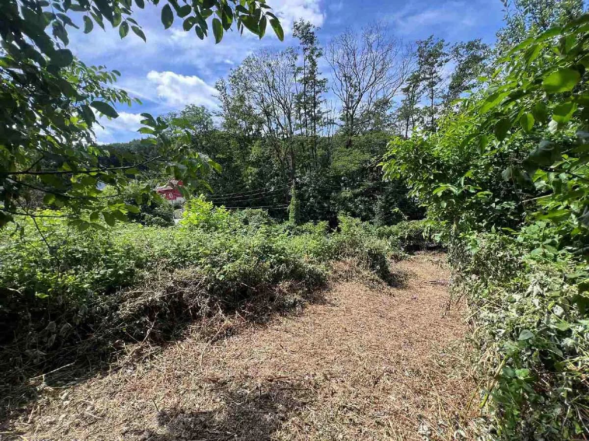 Grundstück kaufen in Tulln – 3 142 m², € 750.000 – Bild 9 von 12