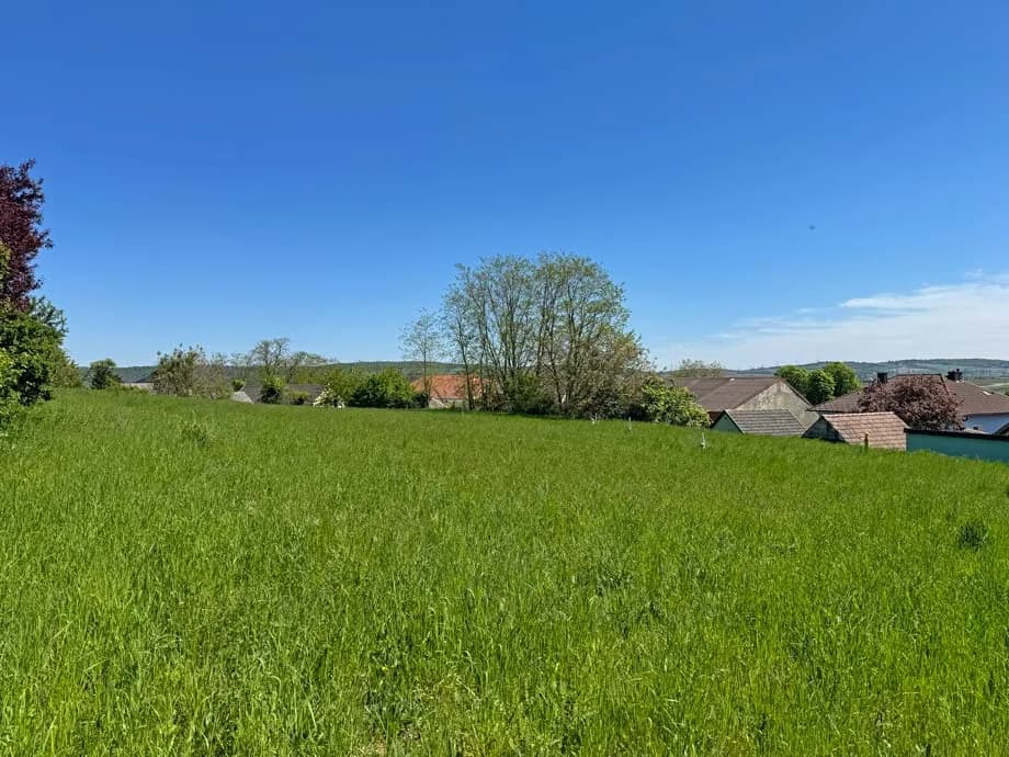 Grundstück kaufen in Korneuburg – 5 826 m², € 1.500.000 – Bild 3 von 14