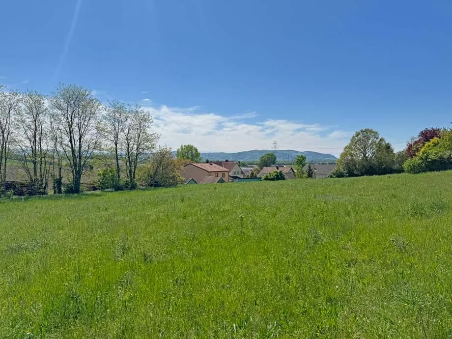 Grundstück kaufen in Korneuburg – 5 826 m², € 1.500.000 – Bild 5 von 14
