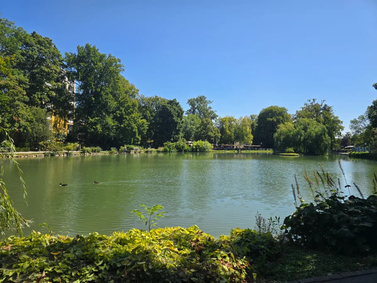 2-Zimmer-Wohnung mieten in Baden – 50 m², € 940