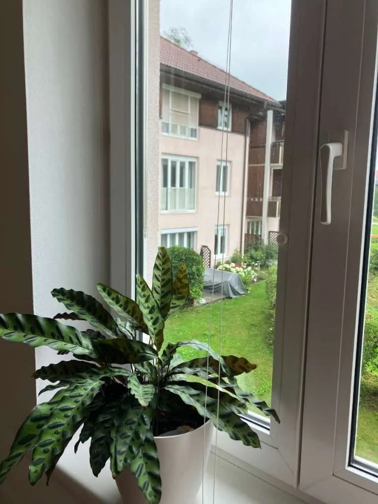 3-Zimmer-Wohnung mieten in Urfahr-Umgebung – 80 m², € 890 – Bild 13 von 17