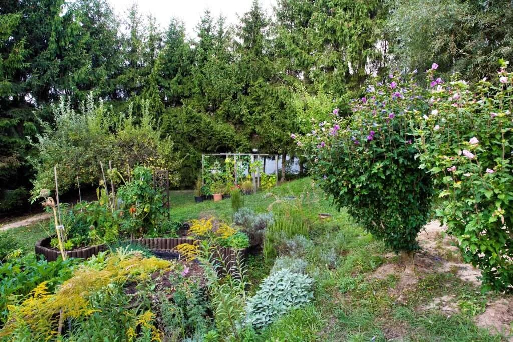 5-Zimmer-Haus kaufen in Tulln – 150 m², € 550.000 – Bild 3 von 19