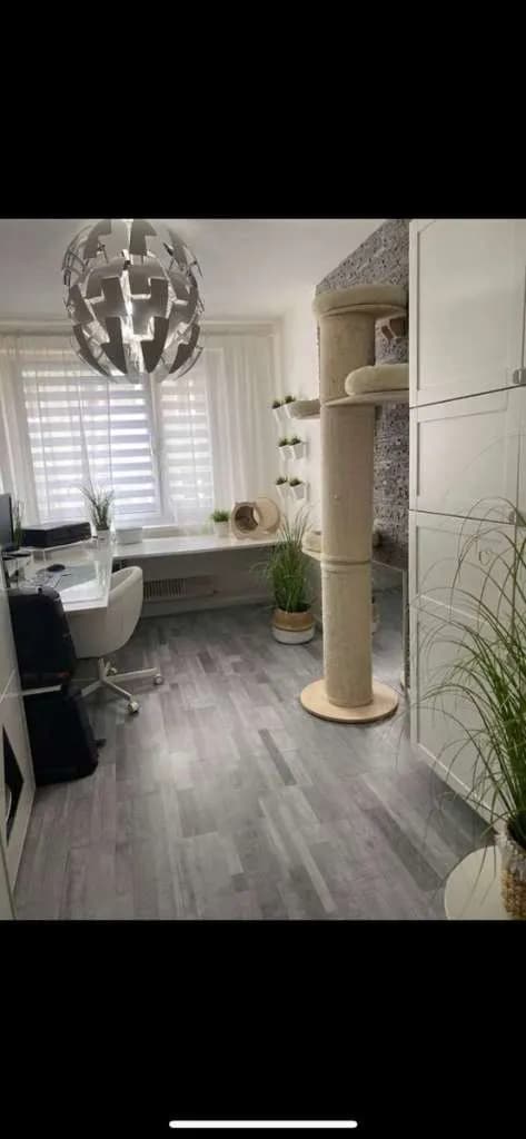 3-Zimmer-Wohnung mieten in Gmünd – 74 m², € 690 – Bild 12 von 20