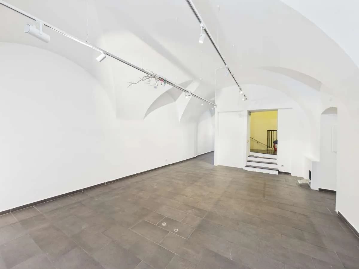 Gewerbeimmobilie mieten in Wien – 262 m² – Bild 5 von 11