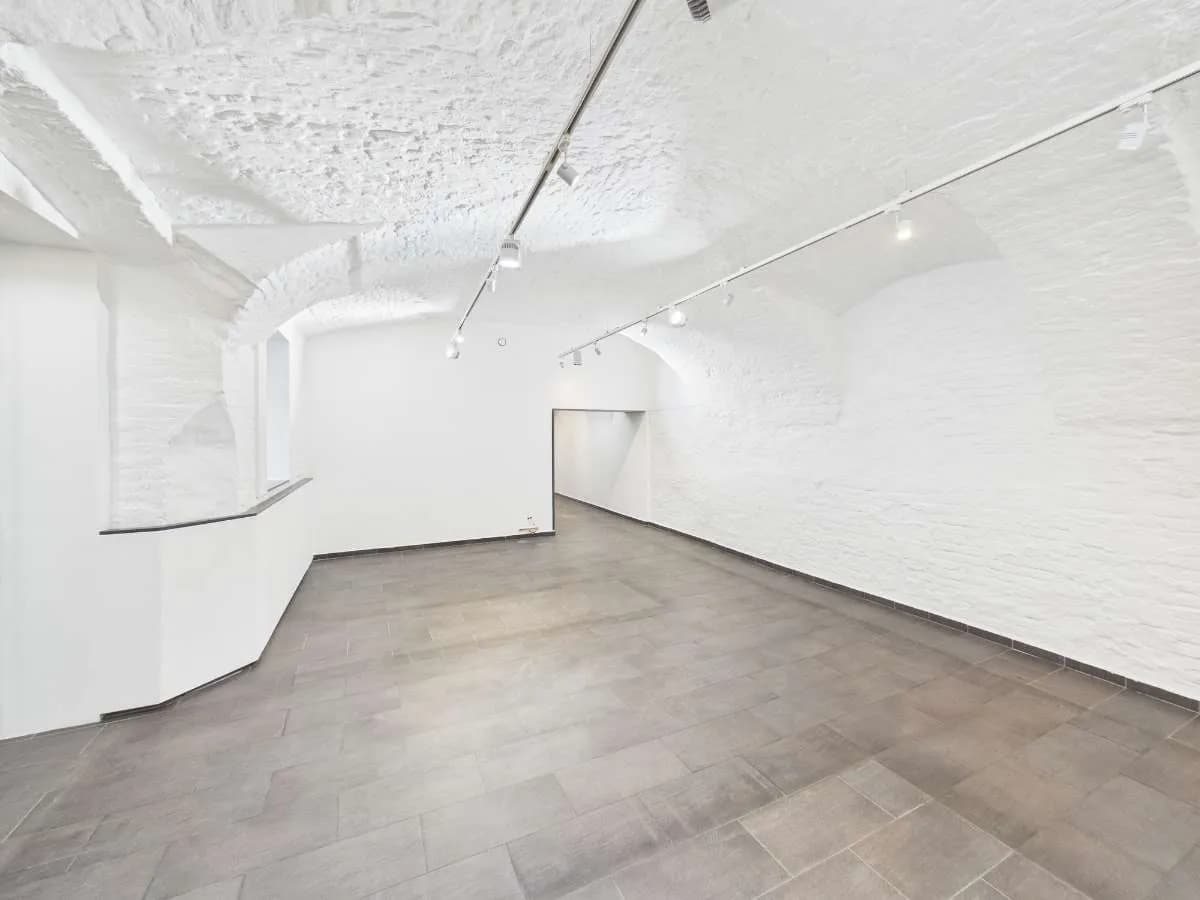 Gewerbeimmobilie mieten in Wien – 262 m² – Bild 7 von 11