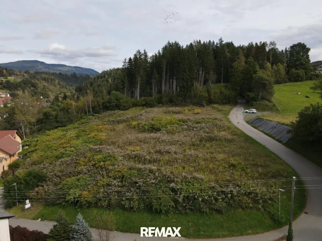 Immobilie kaufen in Feldkirchen – 6 125 m², € 735.000 – Bild 5 von 5