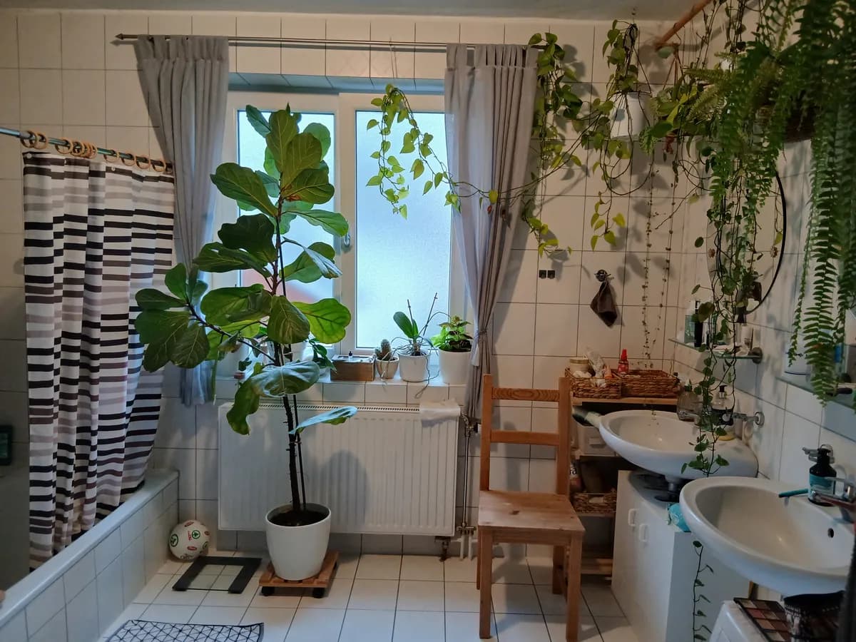 6-Zimmer-Haus kaufen in Perg – 210 m², € 450.000 – Bild 9 von 14