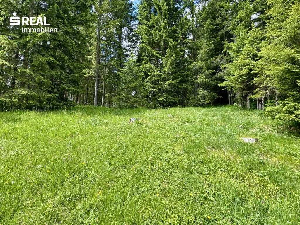 3-Zimmer-Haus kaufen in Lilienfeld – 85 m², € 167.000 – Bild 8 von 21