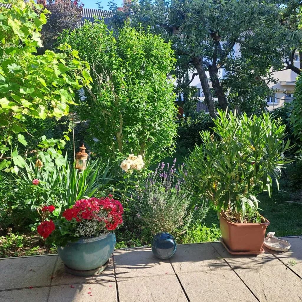 5-Zimmer-Haus kaufen in Mödling – 160 m², € 498.000 – Bild 13 von 14