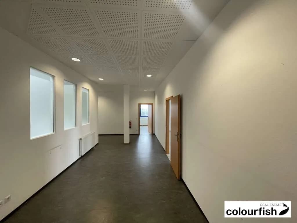5-Zimmer-Gewerbeimmobilie mieten in Wien – 175 m², € 2.151 – Bild 3 von 8