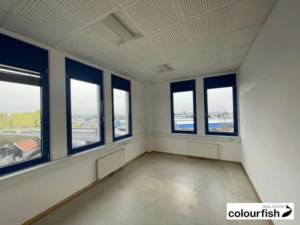 5-Zimmer-Gewerbeimmobilie mieten in Wien – 175 m², € 2.151 – Bild 5 von 8