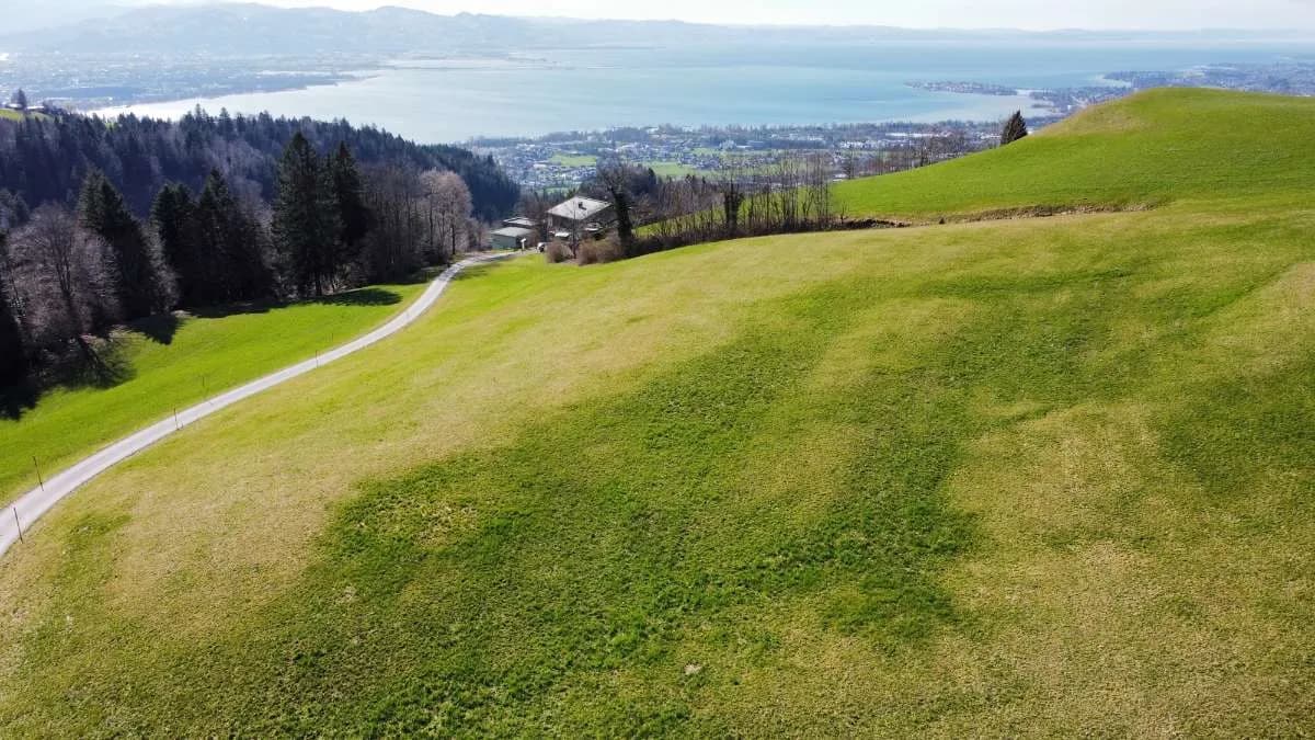 Grundstück kaufen in Bregenz – 610 m² – Bild 3 von 9