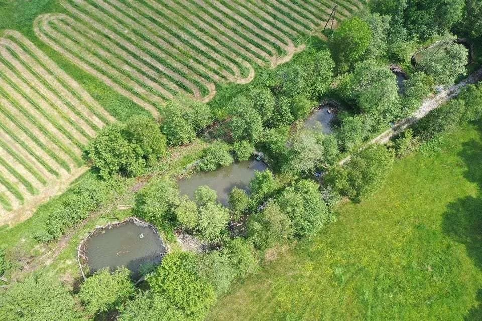 Immobilie kaufen in Voitsberg – 7 500 m², € 150.000 – Bild 1 von 6