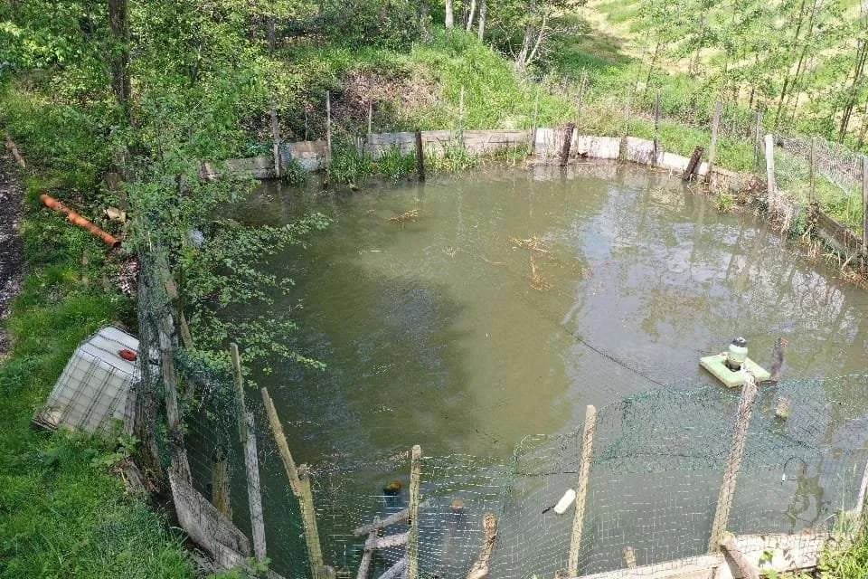 Immobilie kaufen in Voitsberg – 7 500 m², € 150.000 – Bild 4 von 6