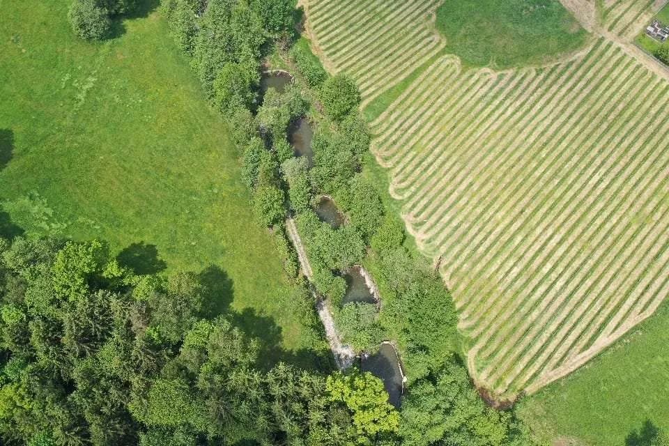 Immobilie kaufen in Voitsberg – 7 500 m², € 150.000 – Bild 5 von 6