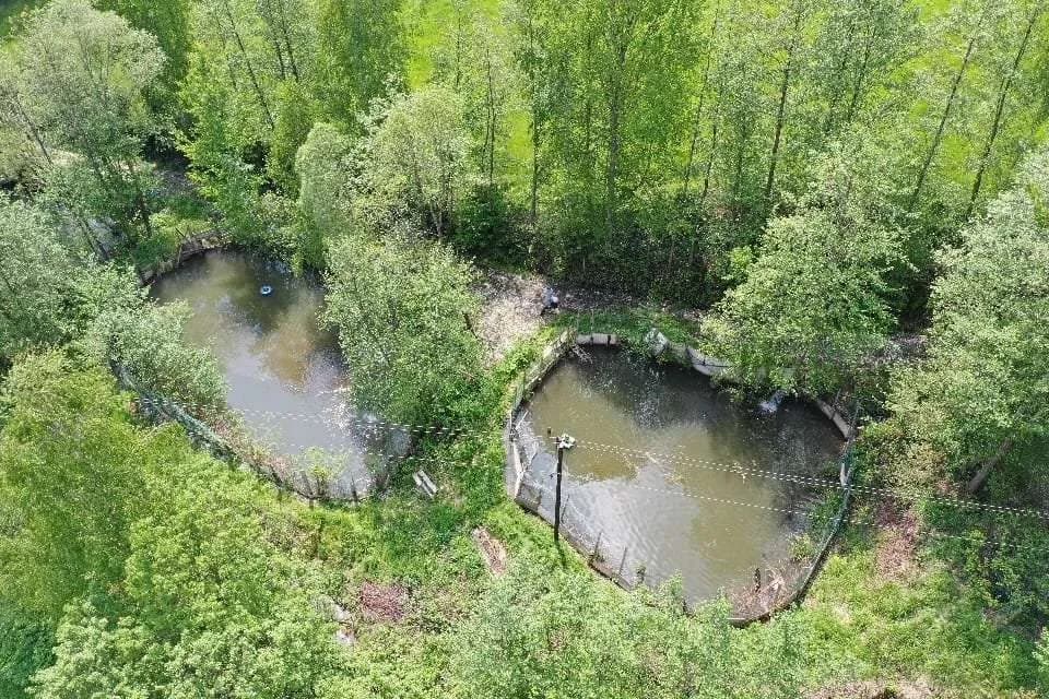 Immobilie kaufen in Voitsberg – 7 500 m², € 150.000 – Bild 6 von 6