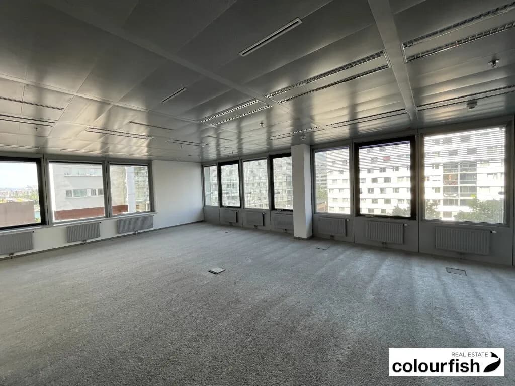 Gewerbeimmobilie mieten in Wien – 452 m², € 9.018 – Bild 5 von 10
