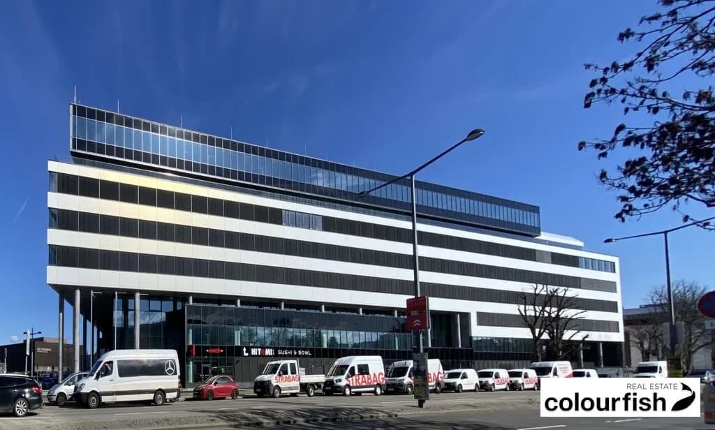 Gewerbeimmobilie mieten in Wien – 481 m², € 10.035 – Bild 6 von 10